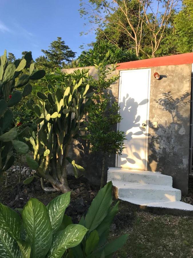 Little Nomads Eco-Guesthouse Сикиджор Екстериор снимка