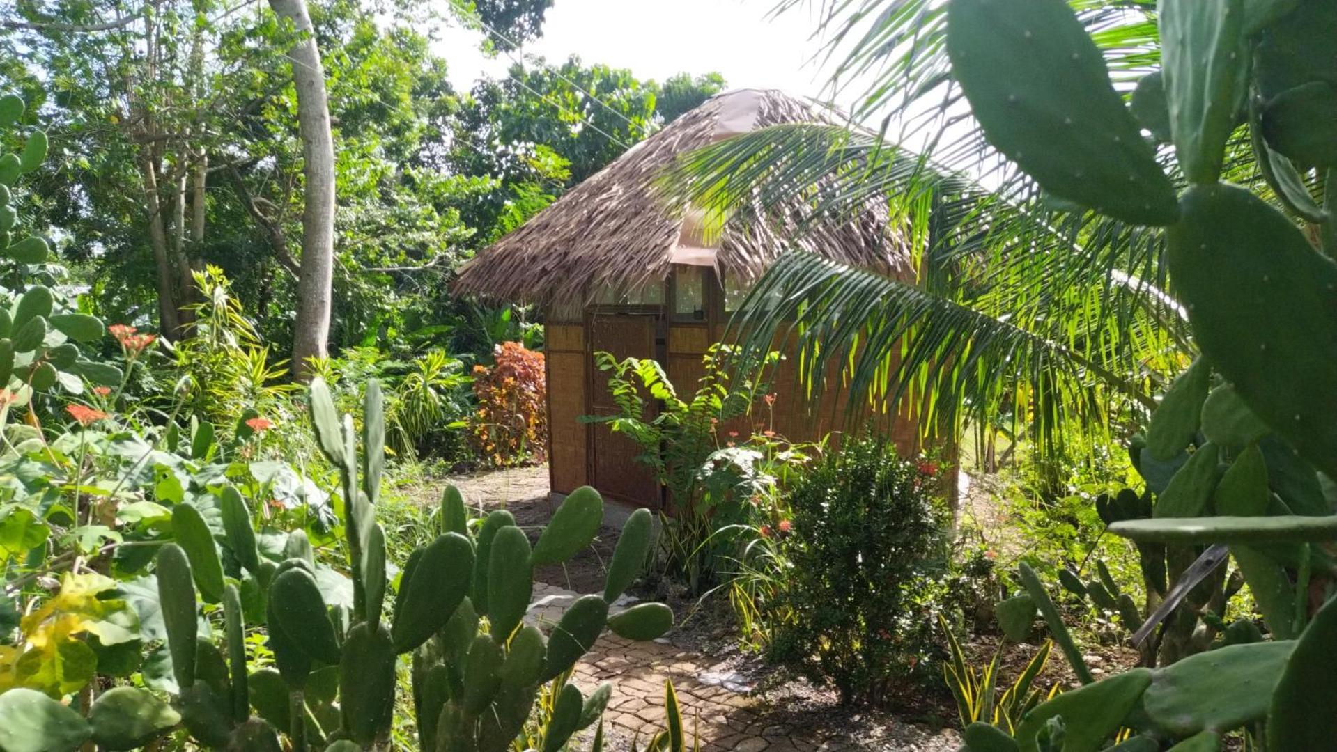 Little Nomads Eco-Guesthouse Сикиджор Стая снимка
