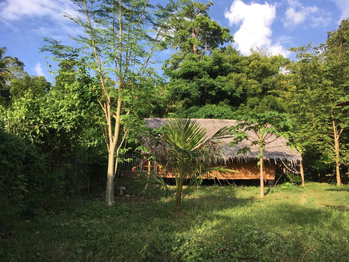 Little Nomads Eco-Guesthouse Сикиджор Екстериор снимка
